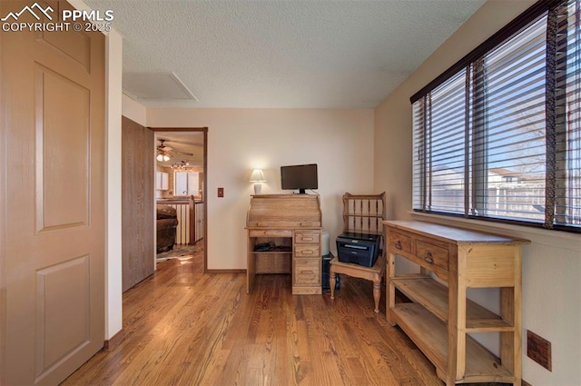 office space featuring light hardwood / wood-style floors and a textured ceiling