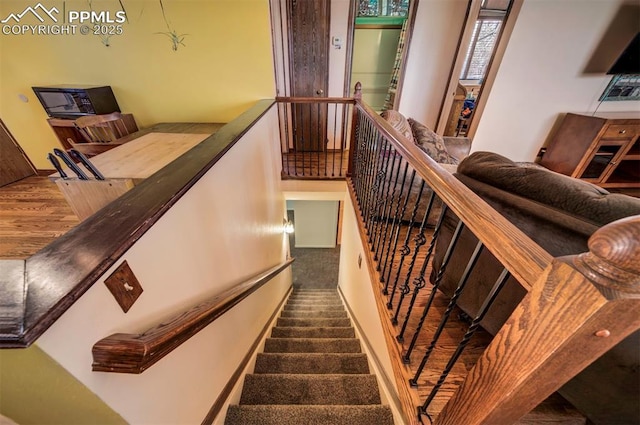 stairway featuring carpet flooring