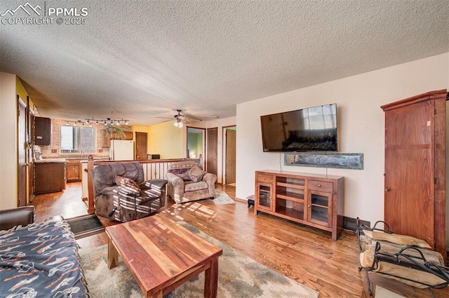 living room featuring ceiling fan, sink, a textured ceiling, and light wood-type flooring