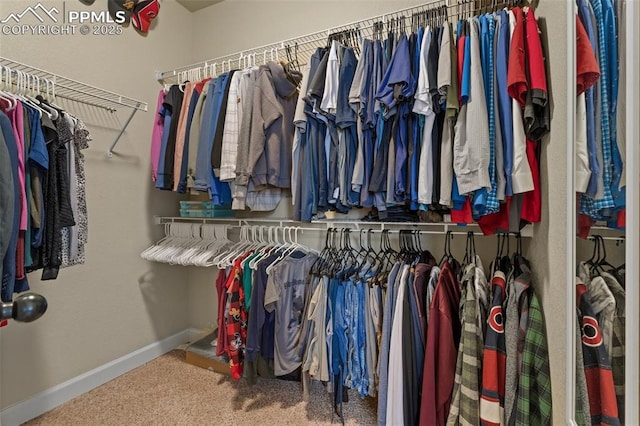 spacious closet with carpet