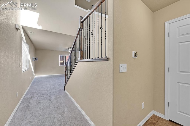 stairs featuring carpet flooring