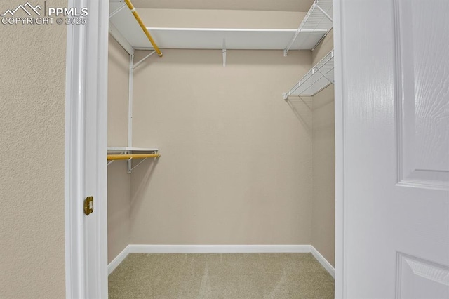 spacious closet with carpet flooring