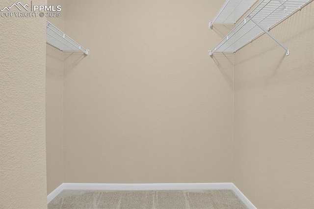 spacious closet with carpet