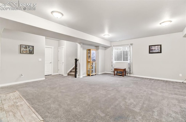 basement featuring carpet flooring