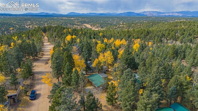 drone / aerial view with a mountain view