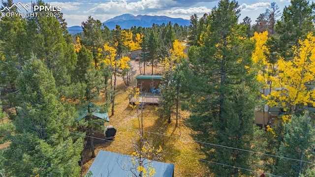 birds eye view of property with a mountain view