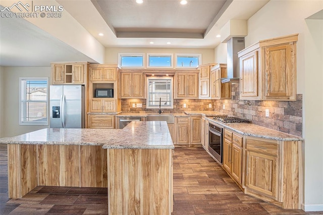 kitchen with wall chimney exhaust hood, a center island, a tray ceiling, stainless steel appliances, and a sink