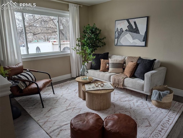 living room with hardwood / wood-style flooring