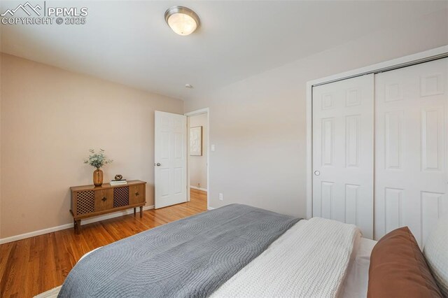 bedroom featuring hardwood / wood-style flooring and a closet