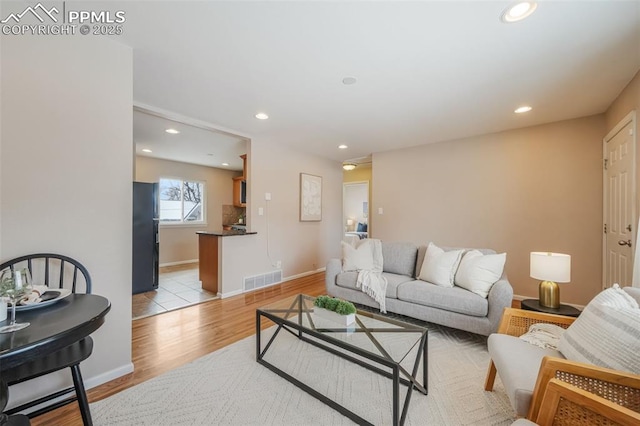 living room with light wood-type flooring