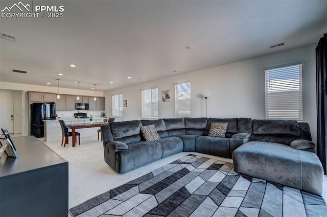 living room with a textured ceiling