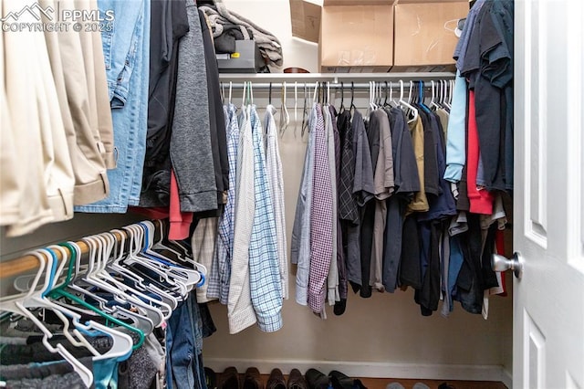 view of spacious closet