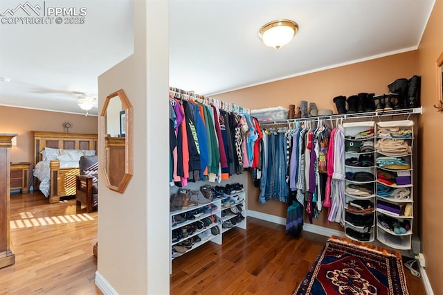 walk in closet with hardwood / wood-style floors