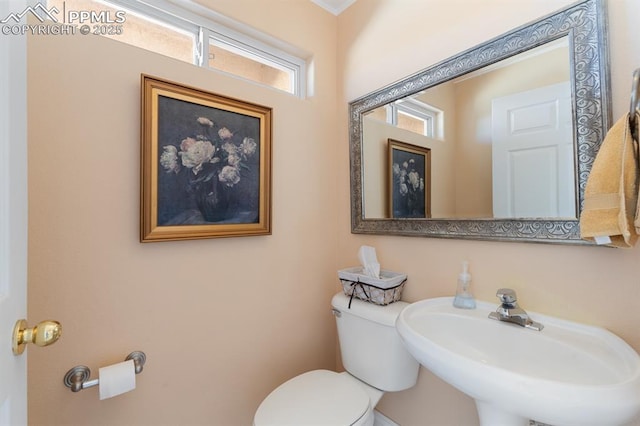 bathroom with sink and toilet