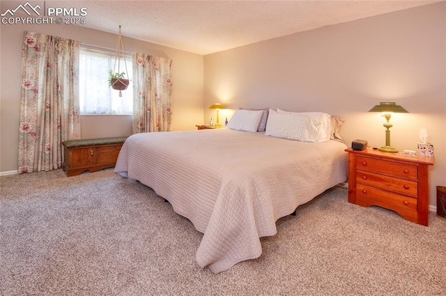 bedroom with light carpet and a textured ceiling