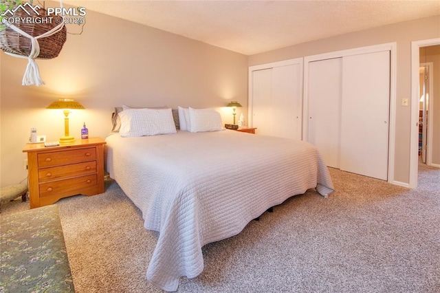 bedroom with two closets and carpet flooring