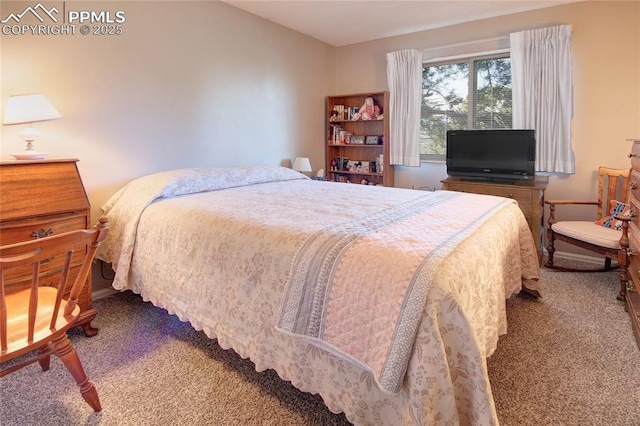 bedroom with carpet flooring