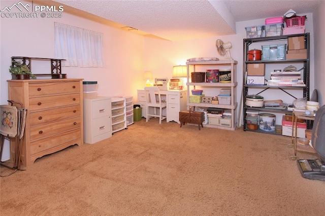 office area with a textured ceiling and carpet flooring