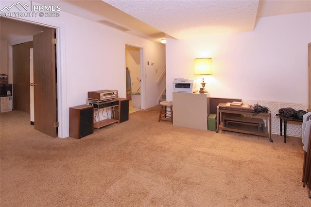 interior space featuring light colored carpet and a textured ceiling