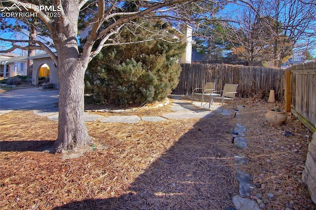 view of yard with a patio