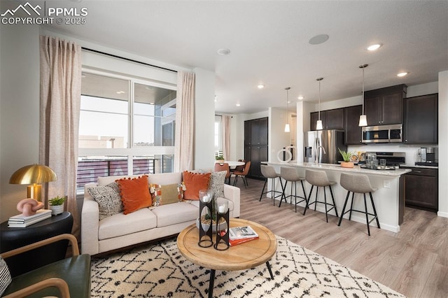 living room featuring light hardwood / wood-style floors