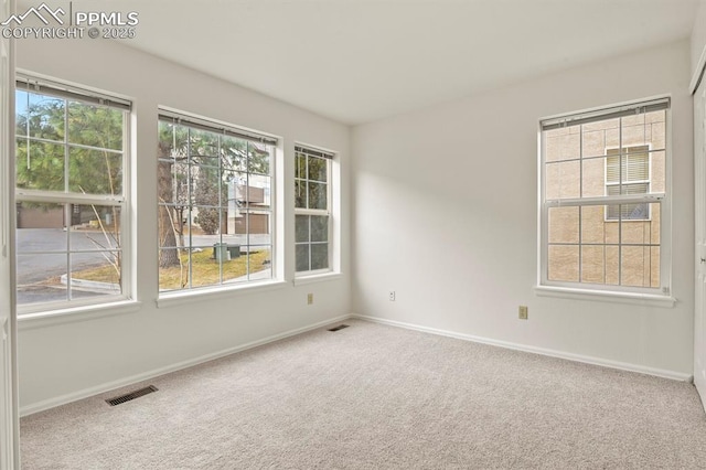 carpeted spare room featuring a wealth of natural light