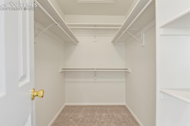 walk in closet featuring carpet