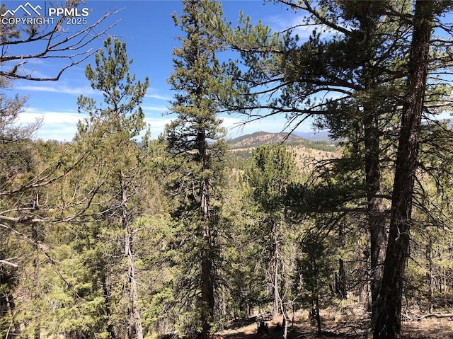 195 Osoeola Rd, Woodland Park CO, 80863 land for sale