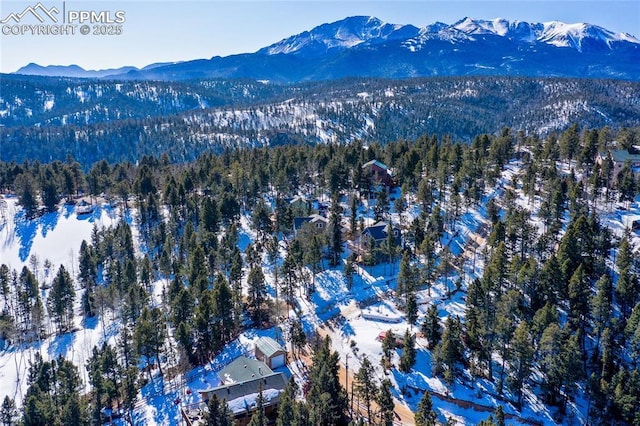 snowy aerial view featuring a mountain view