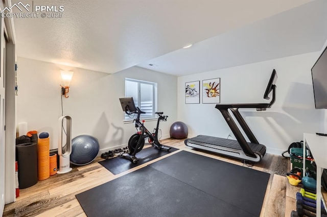 workout room featuring hardwood / wood-style floors