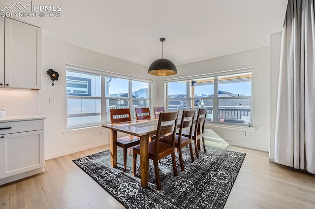 dining space with light hardwood / wood-style flooring