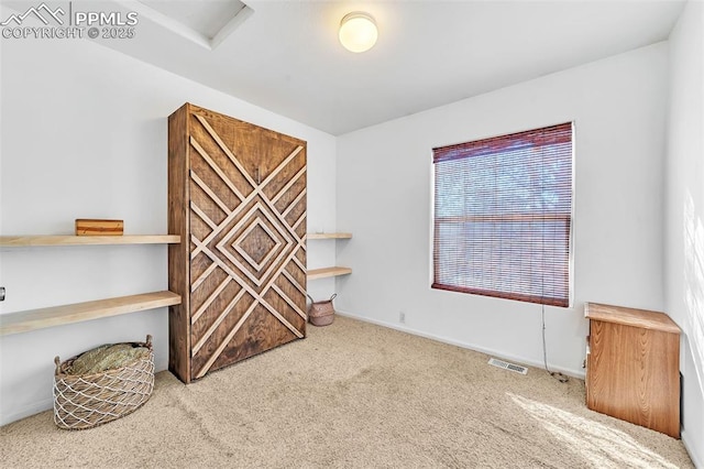 interior space featuring carpet floors