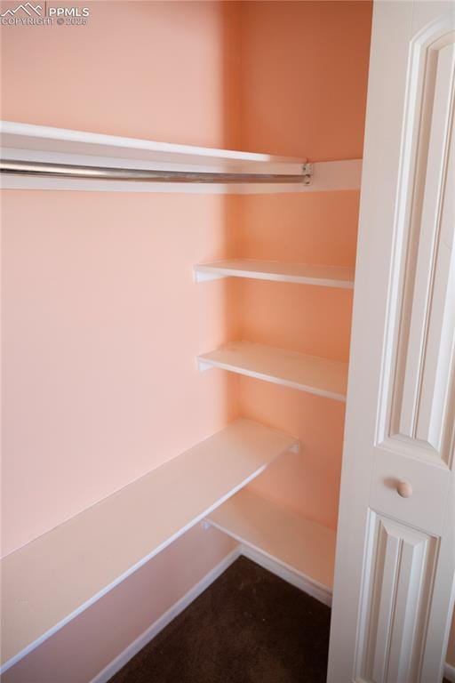 view of closet