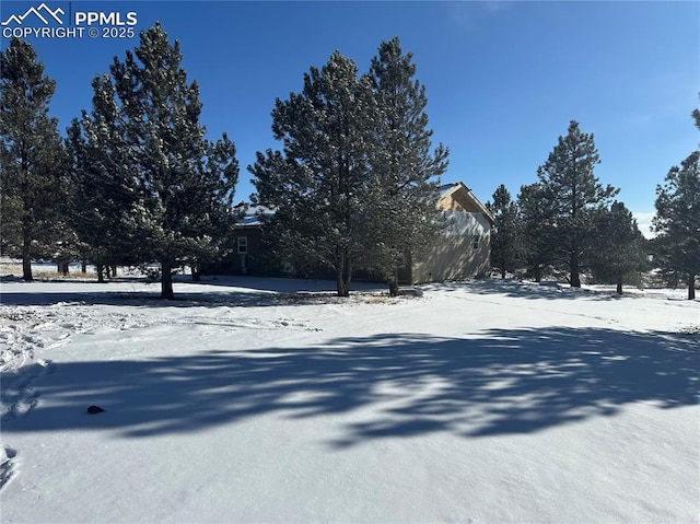 view of yard covered in snow