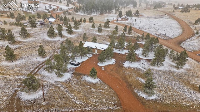 20 Apache Cir, Florissant, CO 80816 - snowy aerial view with a rural view