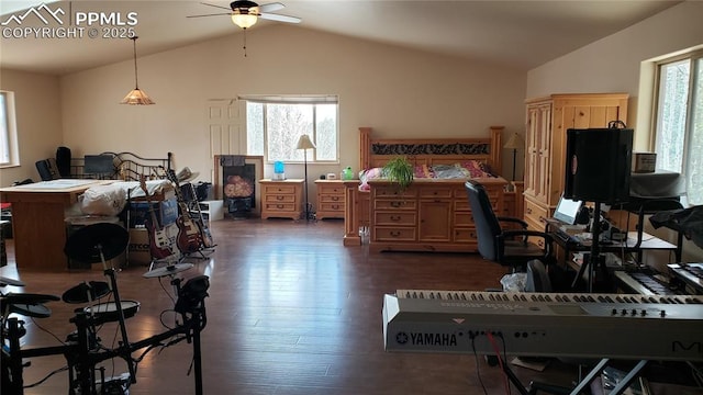 bedroom with lofted ceiling and dark wood-style floors