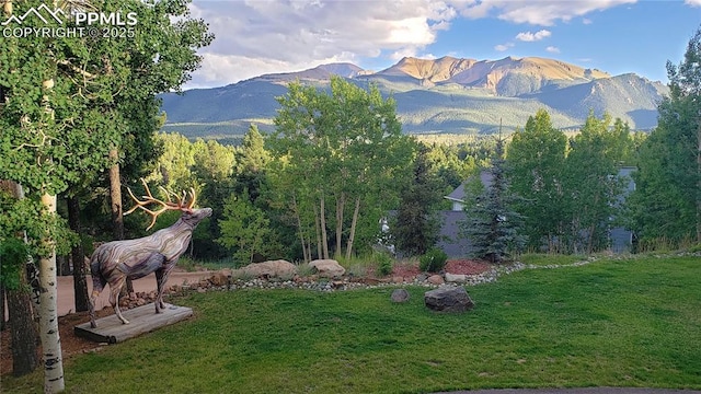 property view of mountains