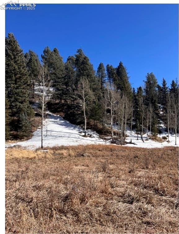 506 Arrowhead Rd, Florissant CO, 80816 land for sale