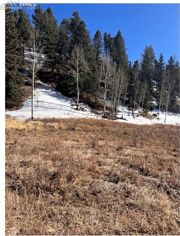 Listing photo 3 for 506 Arrowhead Rd, Florissant CO 80816