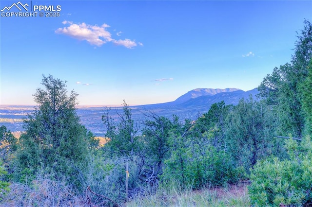 3135 Angel Ter, Colorado Springs CO, 80904 land for sale