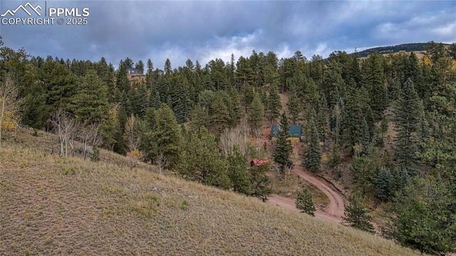 65 Portland Dr, Cripple Creek CO, 80813 land for sale