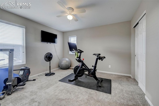 workout area with ceiling fan and carpet flooring