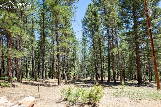 view of nature with a view of trees