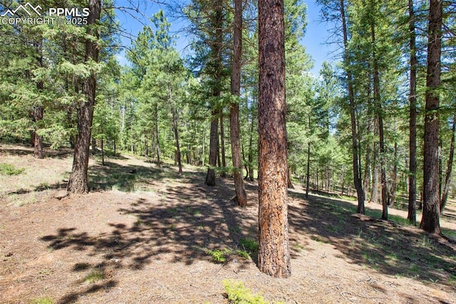 view of local wilderness with a forest view