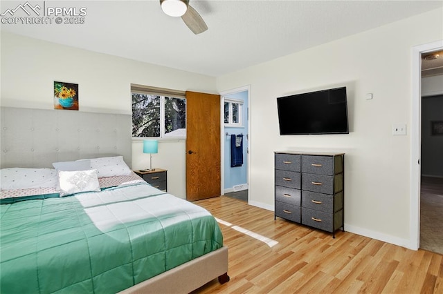 2113 Woodburn St, Colorado Springs, CO 80906 - bedroom with light wood-style floors and ceiling fan