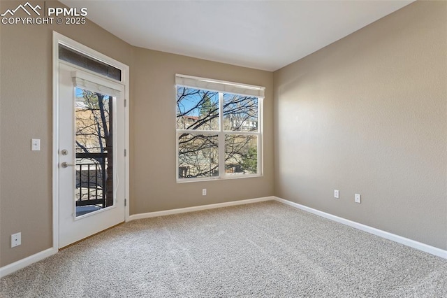 spare room with baseboards and carpet flooring