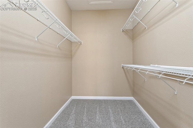 spacious closet featuring carpet and attic access