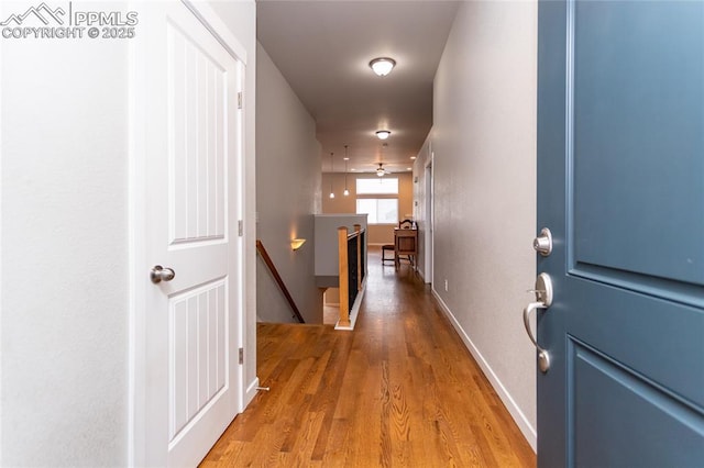 hallway featuring hardwood / wood-style flooring