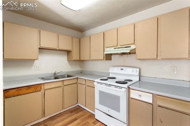 kitchen featuring electric stove, sink, light brown cabinets, and light hardwood / wood-style flooring