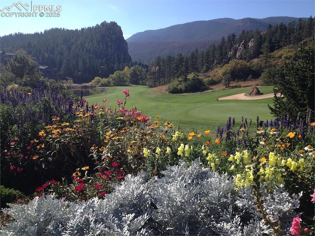 view of property's community featuring a mountain view and a yard